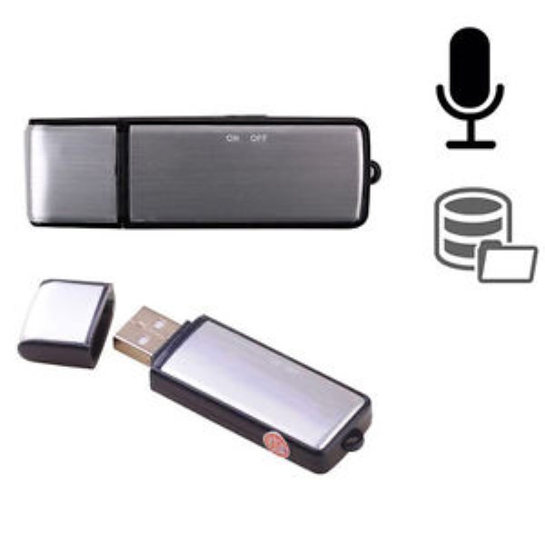 2 in 1 USB Digital Audio Spy Voice Recorder Pen 8GB Disk Flash Drive Recording